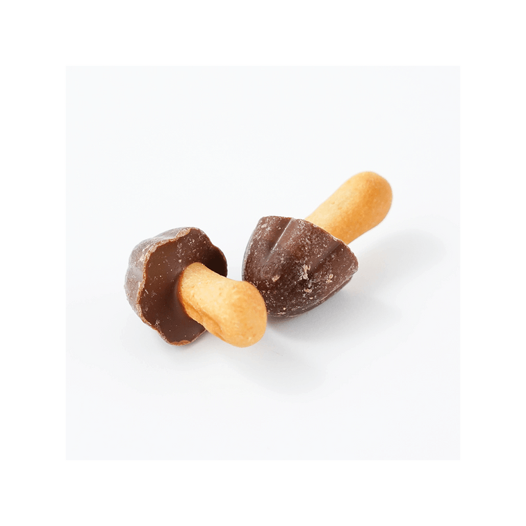 Mushroom Mountain Chocolate Cookies Baked Chocolate Wheat Cracker 74g - Image 3